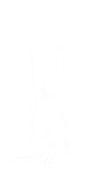 Varicose Veins